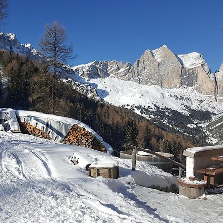 Hôtel Rifugio Negritella à Pozza di Fassa Extérieur photo
